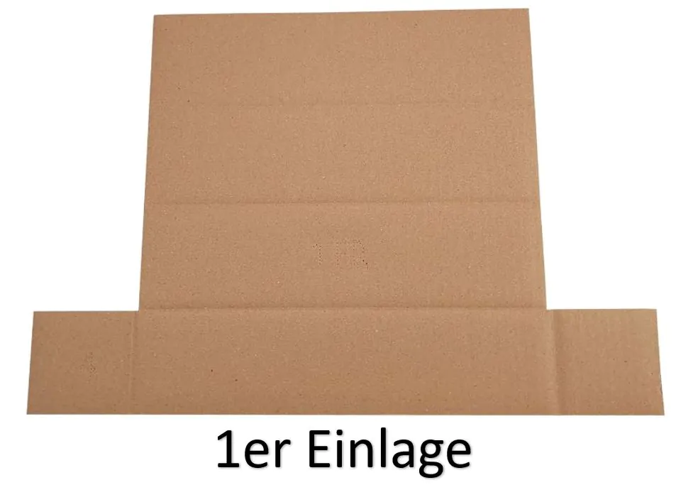 Flaschenversandkarton / 1er